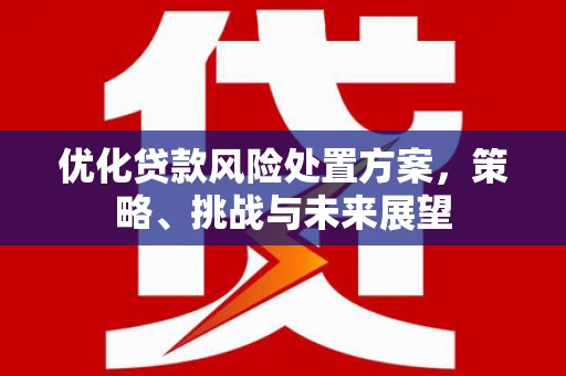 丹徒优化贷款风险处置方案，策略、挑战与未来展望