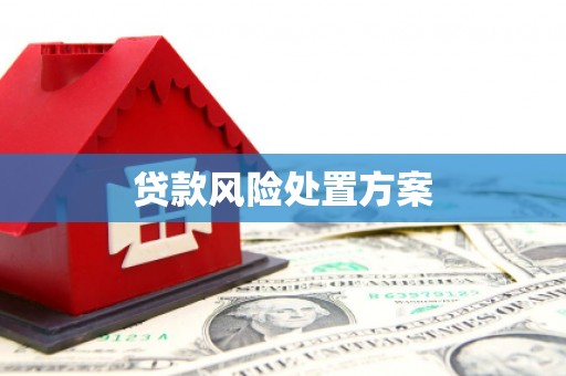 丹徒贷款风险处置方案