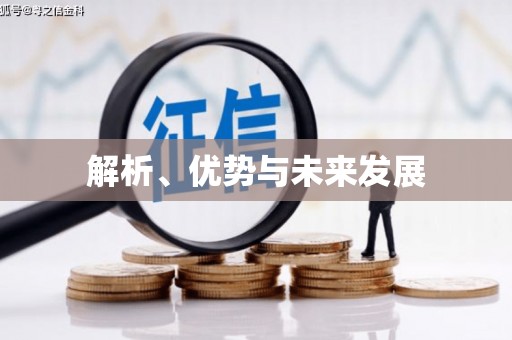 丹徒解析、优势与未来发展