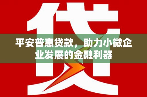 丹徒平安普惠贷款，助力小微企业发展的金融利器