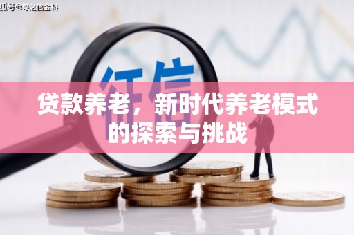 丹徒贷款养老，新时代养老模式的探索与挑战