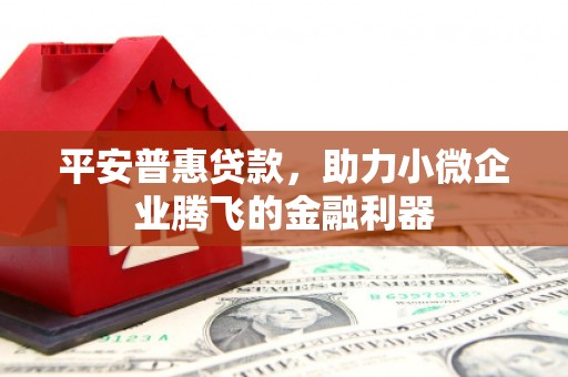 丹徒平安普惠贷款，助力小微企业腾飞的金融利器
