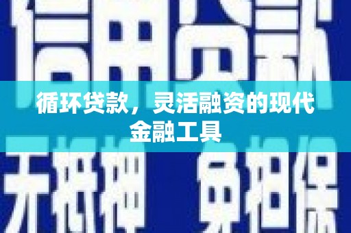 丹徒循环贷款，灵活融资的现代金融工具