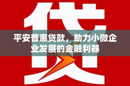 丹徒平安普惠贷款，助力小微企业发展的金融利器