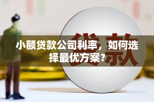 丹徒小额贷款公司利率，如何选择最优方案？