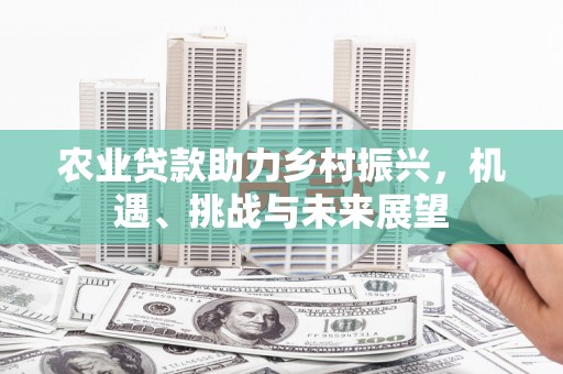 丹徒农业贷款助力乡村振兴，机遇、挑战与未来展望