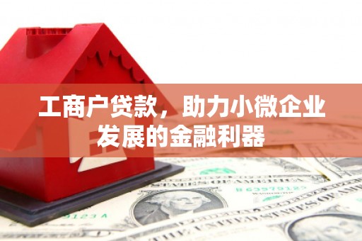 丹徒工商户贷款，助力小微企业发展的金融利器