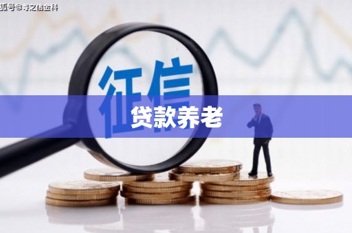 丹徒贷款养老