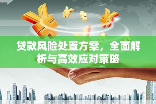 丹徒贷款风险处置方案，全面解析与高效应对策略