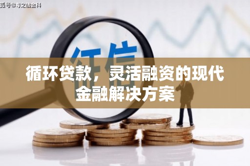 丹徒循环贷款，灵活融资的现代金融解决方案