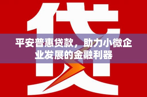 丹徒平安普惠贷款，助力小微企业发展的金融利器