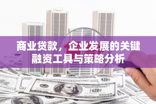 丹徒商业贷款，企业发展的关键融资工具与策略分析