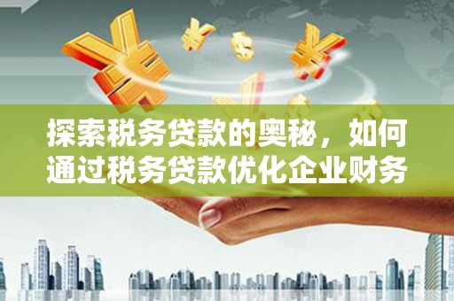丹徒探索税务贷款的奥秘，如何通过税务贷款优化企业财务