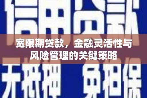 丹徒宽限期贷款，金融灵活性与风险管理的关键策略