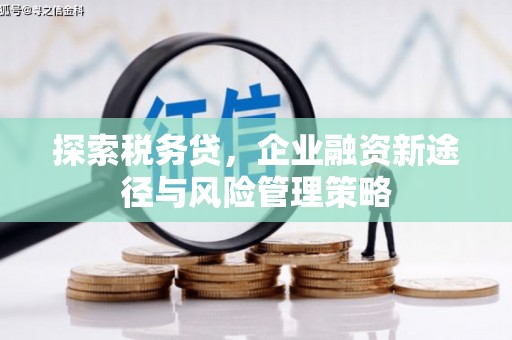 丹徒探索税务贷，企业融资新途径与风险管理策略