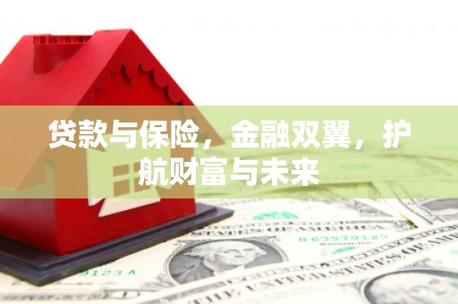 丹徒贷款与保险，金融双翼，护航财富与未来