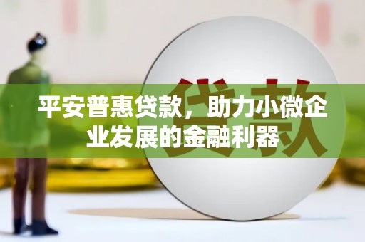 丹徒平安普惠贷款，助力小微企业发展的金融利器