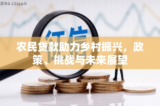 丹徒农民贷款助力乡村振兴，政策、挑战与未来展望