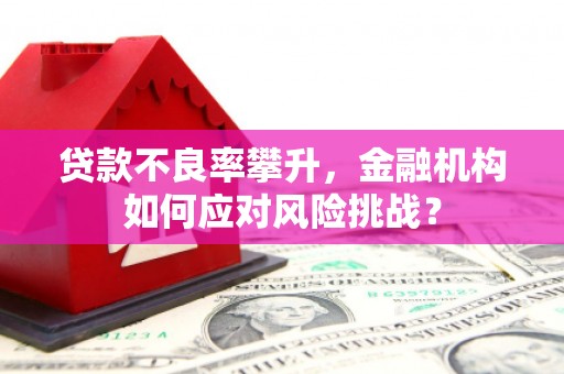 丹徒贷款不良率攀升，金融机构如何应对风险挑战？