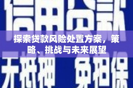 丹徒探索贷款风险处置方案，策略、挑战与未来展望