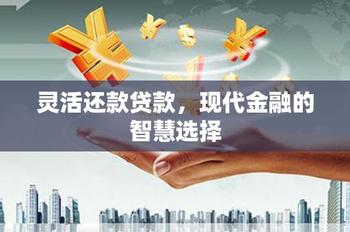 丹徒灵活还款贷款，现代金融的智慧选择