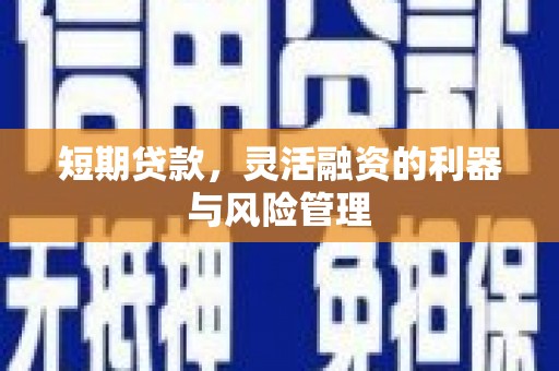 丹徒短期贷款，灵活融资的利器与风险管理