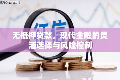 丹徒无抵押贷款，现代金融的灵活选择与风险控制