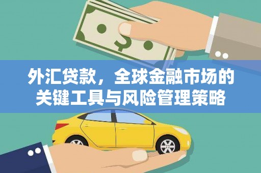 丹徒外汇贷款，全球金融市场的关键工具与风险管理策略