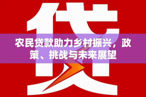 丹徒农民贷款助力乡村振兴，政策、挑战与未来展望