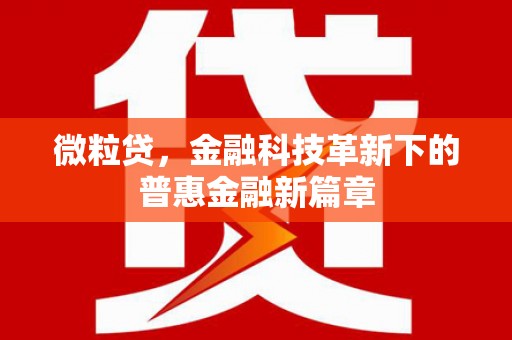 丹徒微粒贷，金融科技革新下的普惠金融新篇章