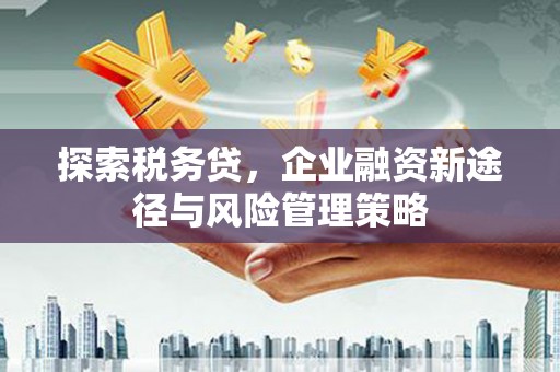 丹徒探索税务贷，企业融资新途径与风险管理策略
