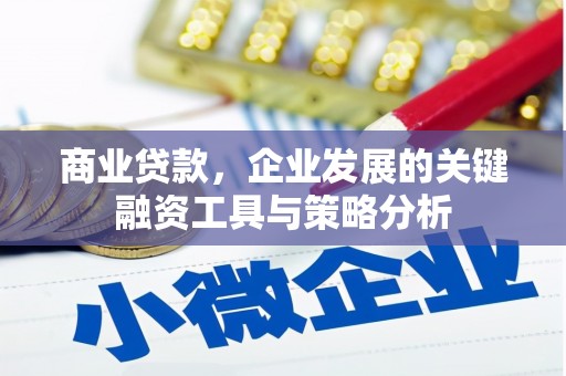 丹徒商业贷款，企业发展的关键融资工具与策略分析