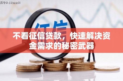 丹徒不看征信贷款，快速解决资金需求的秘密武器