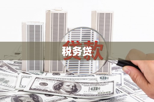 丹徒税务贷