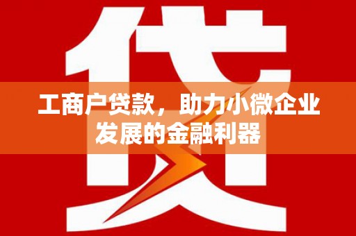 丹徒工商户贷款，助力小微企业发展的金融利器