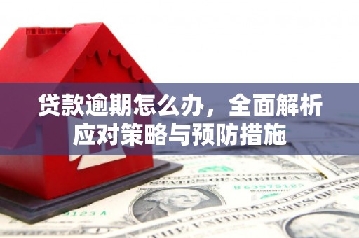 丹徒贷款逾期怎么办，全面解析应对策略与预防措施