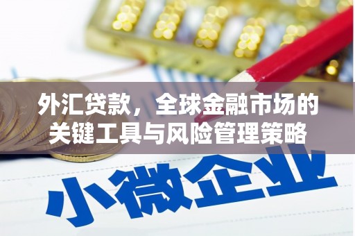 丹徒外汇贷款，全球金融市场的关键工具与风险管理策略