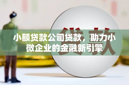 丹徒小额贷款公司贷款，助力小微企业的金融新引擎
