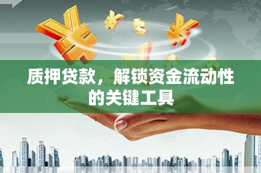 丹徒质押贷款，解锁资金流动性的关键工具