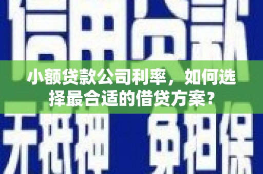 丹徒小额贷款公司利率，如何选择最合适的借贷方案？