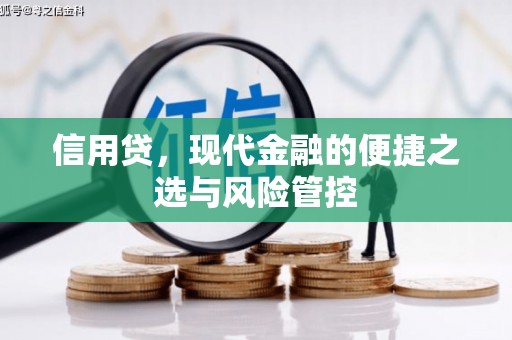 丹徒信用贷，现代金融的便捷之选与风险管控