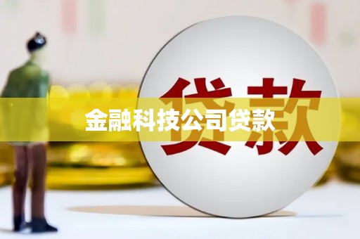 丹徒金融科技公司贷款