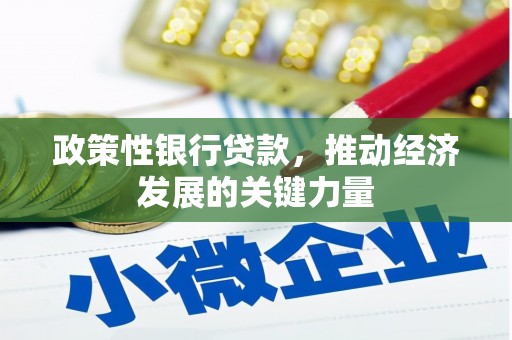 丹徒政策性银行贷款，推动经济发展的关键力量