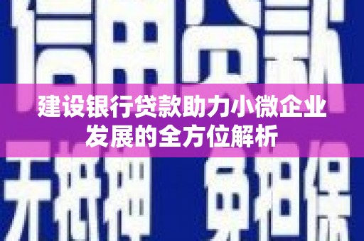 丹徒建设银行贷款助力小微企业发展的全方位解析
