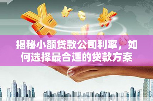 丹徒揭秘小额贷款公司利率，如何选择最合适的贷款方案
