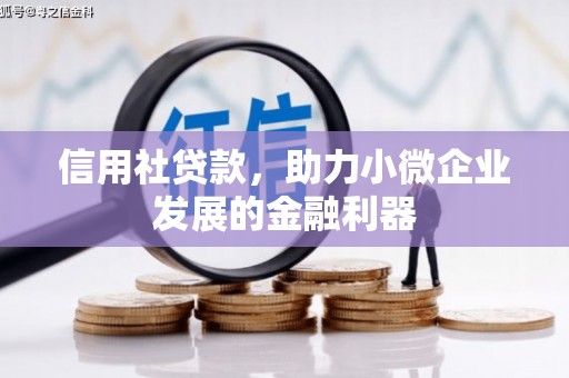 丹徒信用社贷款，助力小微企业发展的金融利器