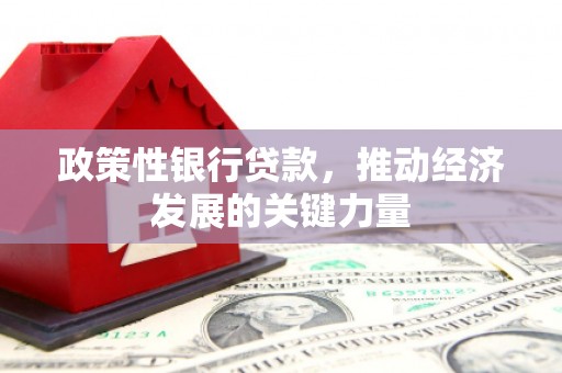 丹徒政策性银行贷款，推动经济发展的关键力量