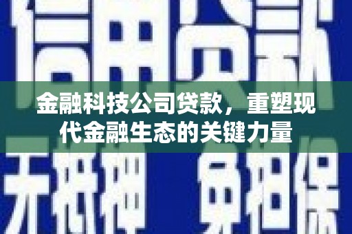 丹徒金融科技公司贷款，重塑现代金融生态的关键力量