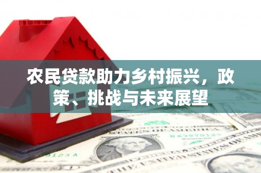 丹徒农民贷款助力乡村振兴，政策、挑战与未来展望