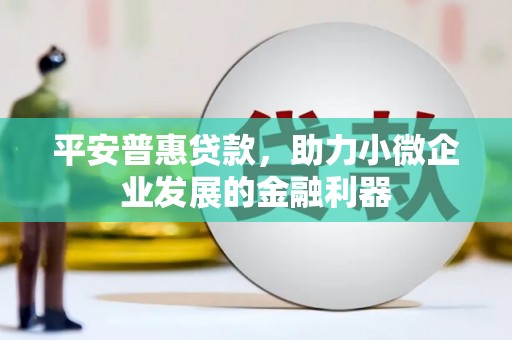 丹徒平安普惠贷款，助力小微企业发展的金融利器